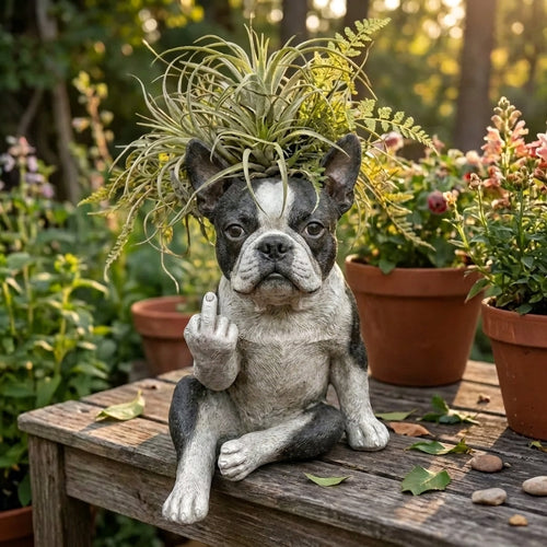 🐶🐶Boston Terrier Planter — Instantly Infuse Your Plants with Personality 🌿