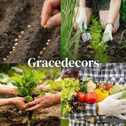 🚨 Grow Your Own Organic Veggies At Home |35-Variety Seed Vault Kit🥦🥬🫑🌽🥔