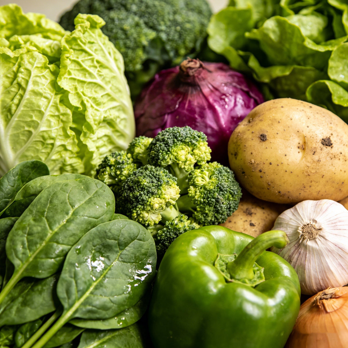 🚨 Grow Your Own Organic Veggies At Home |35-Variety Seed Vault Kit🥦🥬🫑🌽🥔