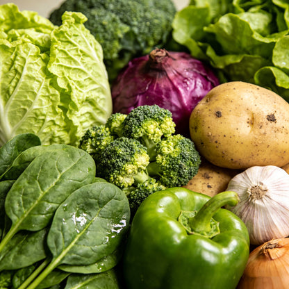 🚨 Grow Your Own Organic Veggies At Home |35-Variety Seed Vault Kit🥦🥬🫑🌽🥔